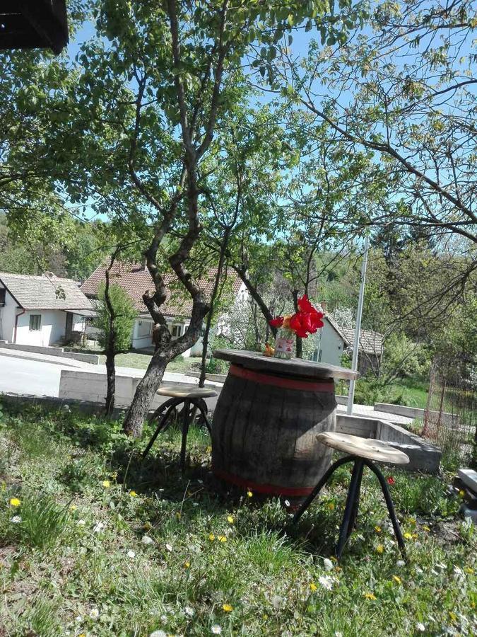 Apartmani Jankovic Vrdnik Eksteriør billede