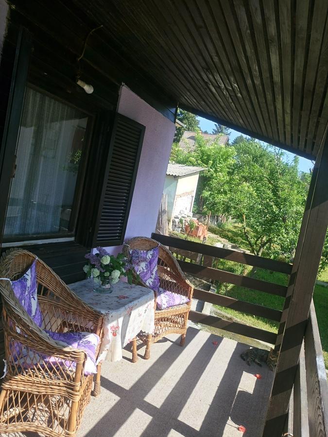 Apartmani Jankovic Vrdnik Eksteriør billede