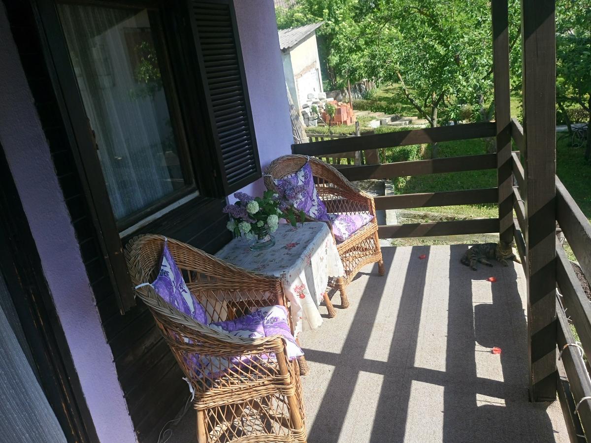 Apartmani Jankovic Vrdnik Eksteriør billede